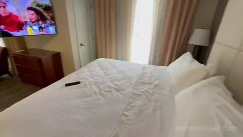 Non-Smoking King Studio Suite (#220) bed picture #7