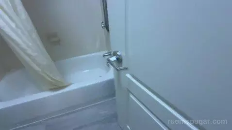 Non-Smoking King Studio Suite (#220) bathroom picture #6