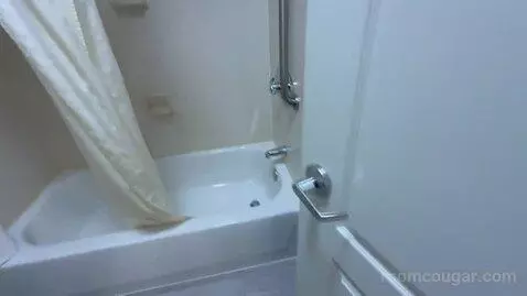 Non-Smoking King Studio Suite (#220) bathroom picture #7