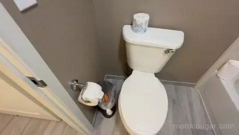 Non-Smoking King Studio Suite (#220) bathroom picture #10
