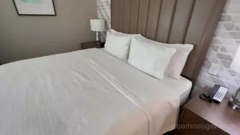 King Studio Suite (#503) bed picture #5