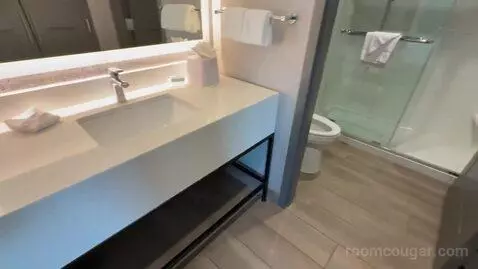 King Studio Suite (#503) bathroom picture #3