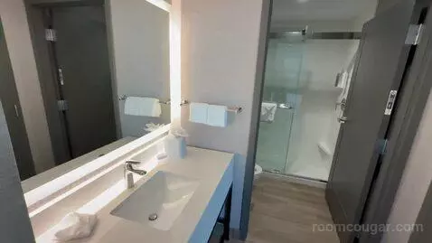 King Studio Suite (#503) bathroom picture #5