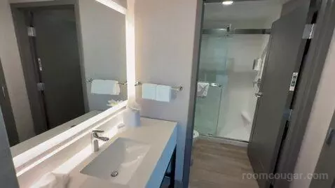 King Studio Suite (#503) bathroom picture #6