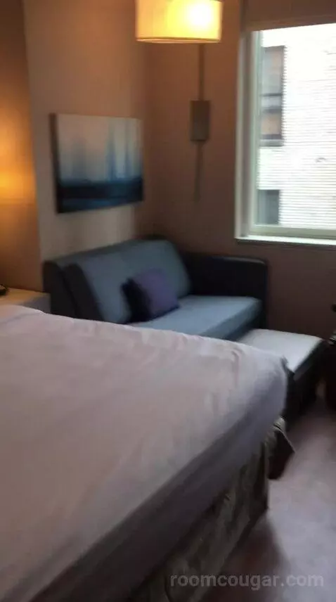 King Studio Suite (#220) bed picture #9