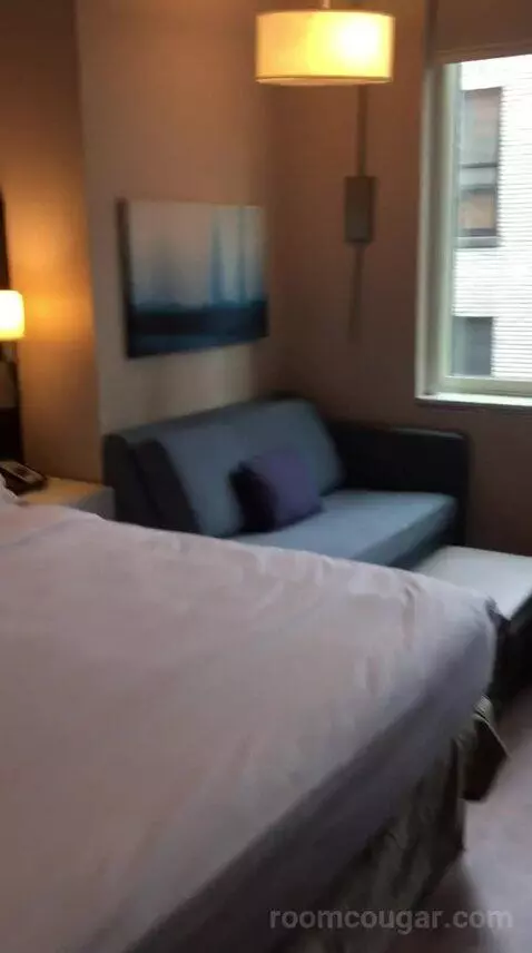 King Studio Suite (#220) bed picture #10