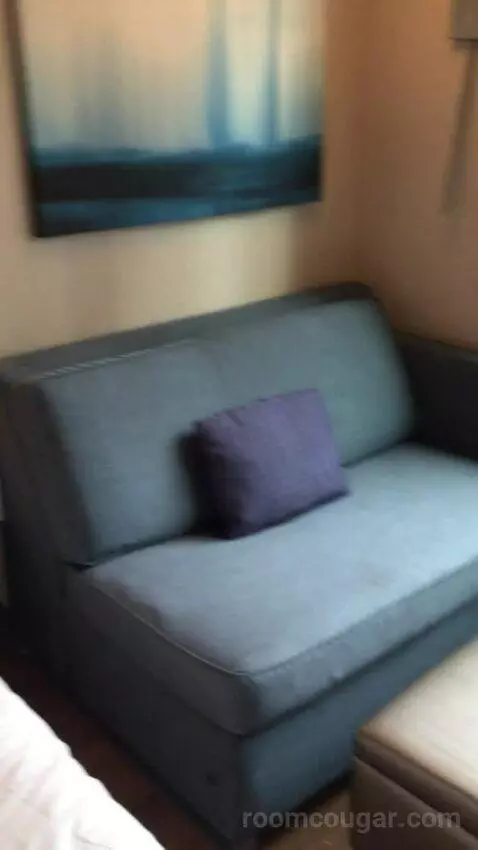 King Studio Suite (#220) picture #12