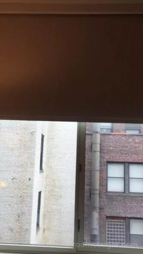 King Studio Suite (#220) picture #13