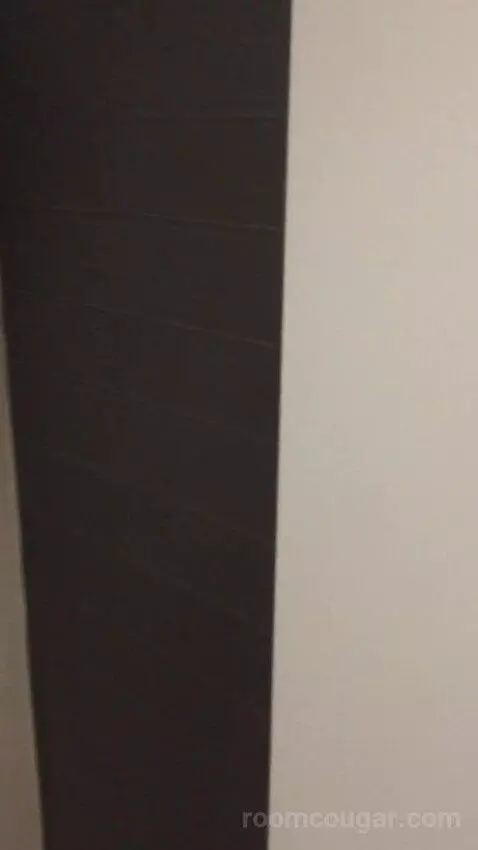 King Studio Suite (#220) picture #17