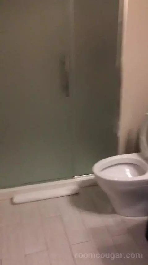 King Studio Suite (#220) bathroom picture #1