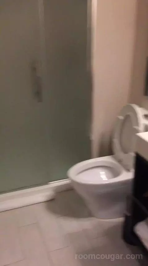 King Studio Suite (#220) bathroom picture #2