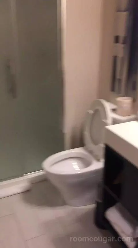 King Studio Suite (#220) bathroom picture #3