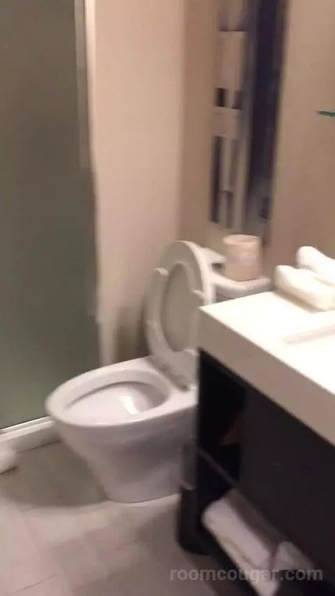 King Studio Suite (#220) picture #18