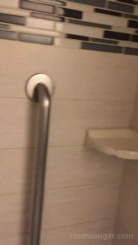 King Studio Suite (#220) picture #20