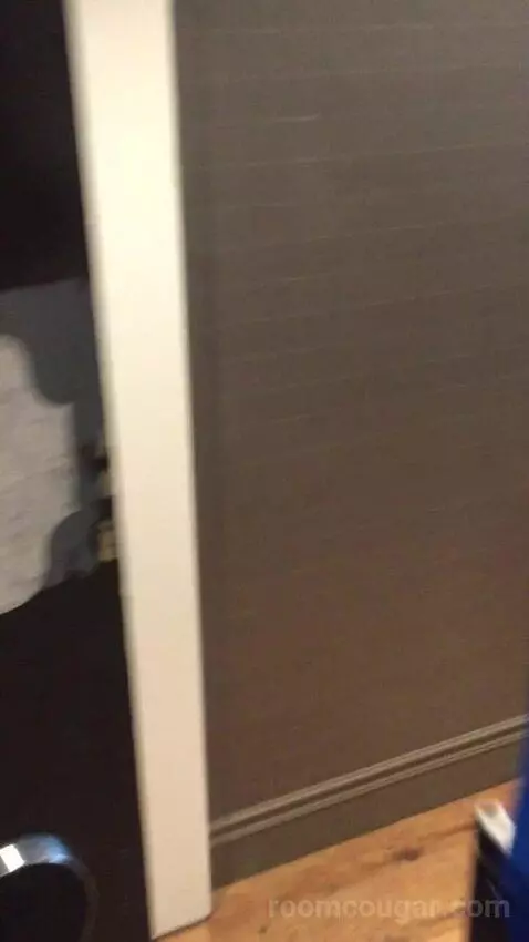 King Studio Suite (#220) picture #3