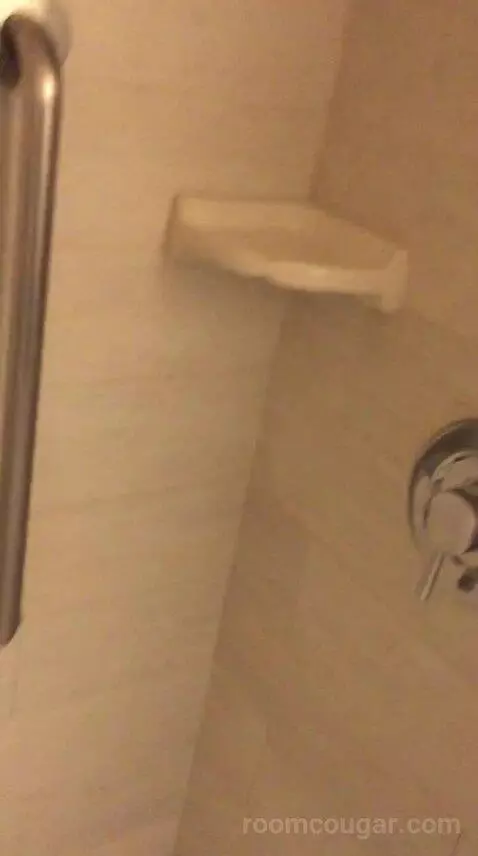 King Studio Suite (#220) bathroom picture #7