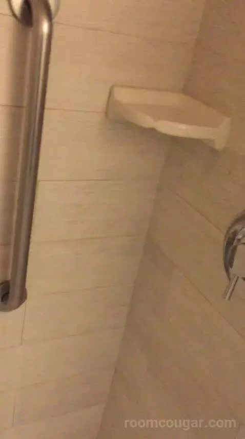 King Studio Suite (#220) bathroom picture #8