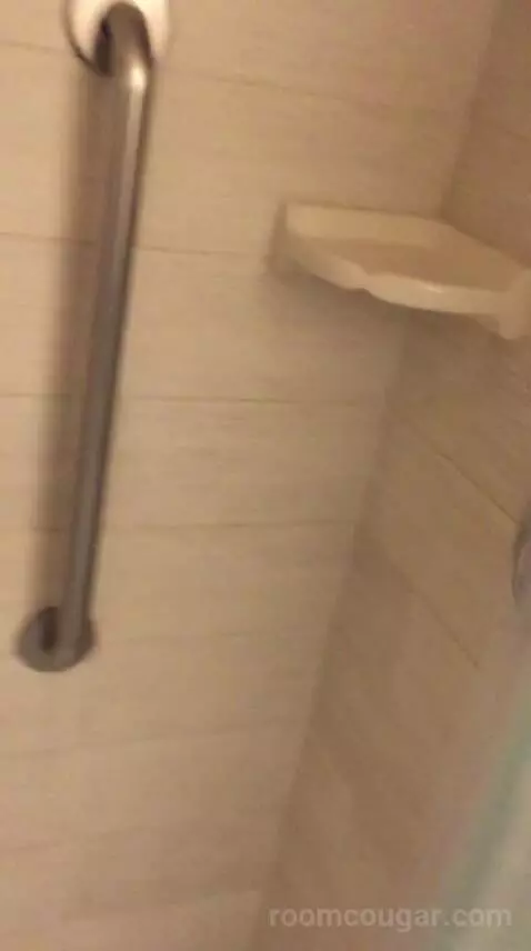 King Studio Suite (#220) bathroom picture #9