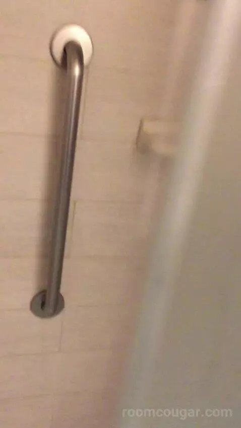 King Studio Suite (#220) picture #21