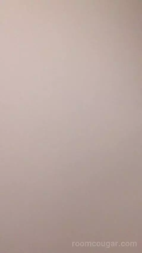 King Studio Suite (#220) picture #23