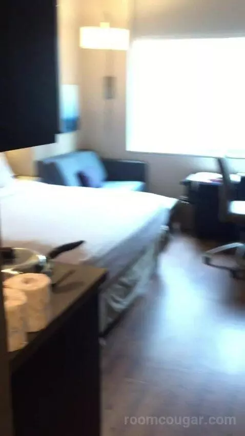 King Studio Suite (#220) picture #4