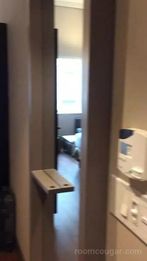 King Studio Suite (#220) picture #5