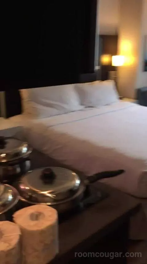 King Studio Suite (#220) bed picture #3