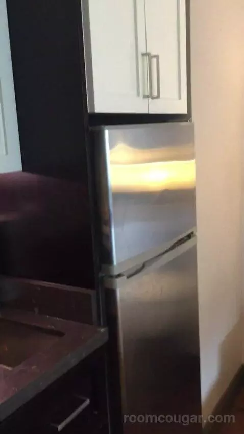 King Studio Suite (#220) picture #8