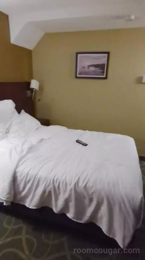 Standard (#116) bed picture #2