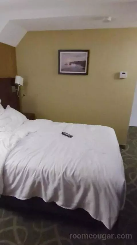 Standard (#116) bed picture #4