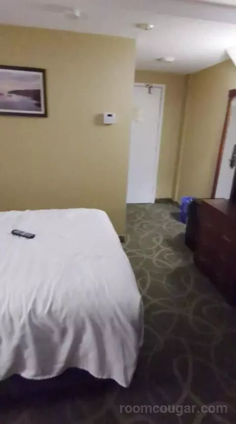 Standard (#116) bed picture #5