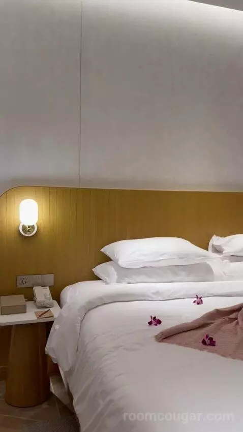 Deluxe Double or Twin Room with Pool View (B107) bed picture #1
