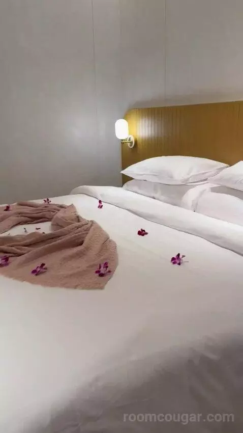 Deluxe Double or Twin Room with Pool View (B107) bed picture #10