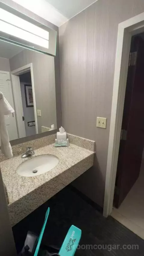 Queen Room with Two Queen Beds (#412) bathroom picture #2