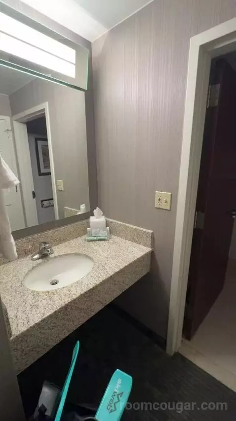 Queen Room with Two Queen Beds (#412) bathroom picture #3