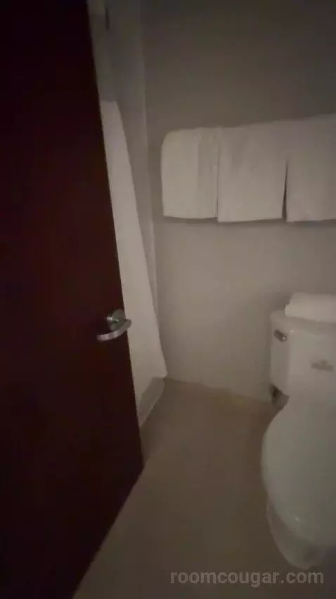Queen Room with Two Queen Beds (#412) bathroom picture #9