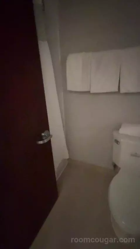 Queen Room with Two Queen Beds (#412) bathroom picture #10