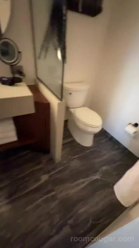 King Room with City View (#917) bathroom picture #9