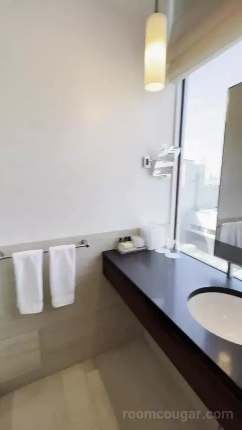 Premier King (#782) bathroom picture #7