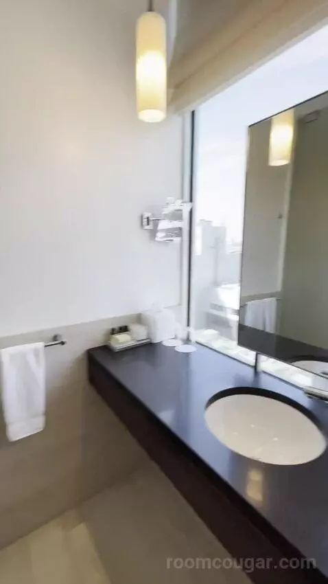 Premier King (#782) bathroom picture #8