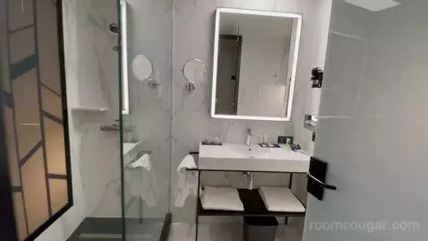 Deluxe Twin (#705) bathroom picture #4