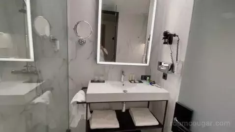 Deluxe Twin (#705) bathroom picture #5