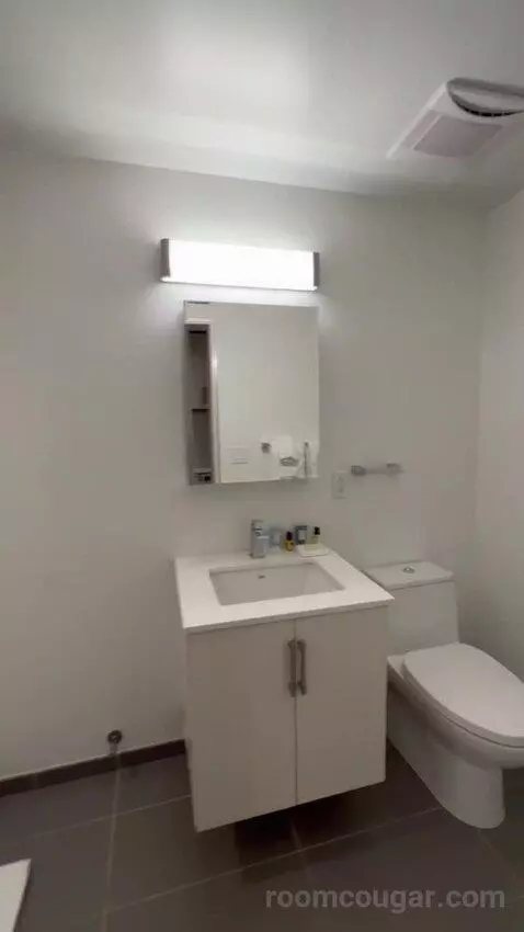 King 1 Bedroom Apartment (#705) bathroom picture #7