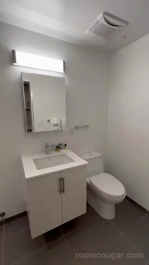 King 1 Bedroom Apartment (#705) bathroom picture #8