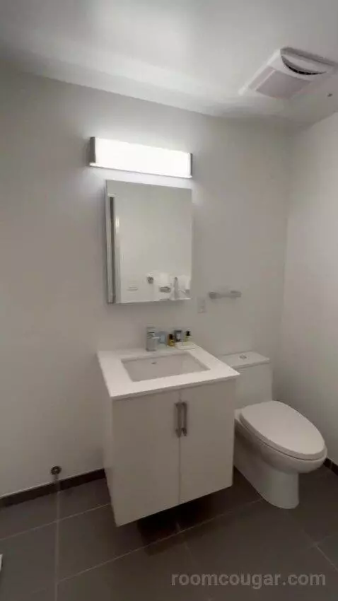 King 1 Bedroom Apartment (#705) bathroom picture #9