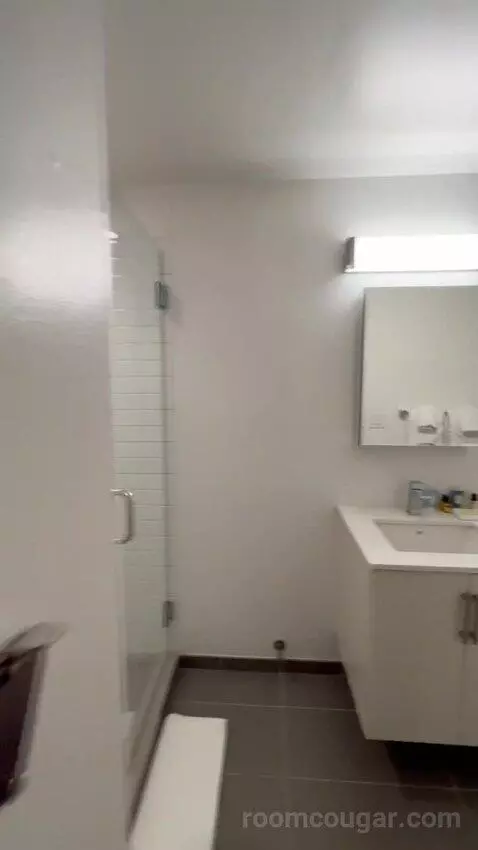 King 1 Bedroom Apartment (#705) bathroom picture #10