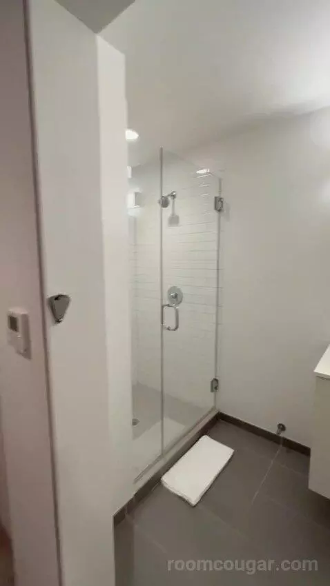 King 1 Bedroom Apartment (#705) bathroom picture #4