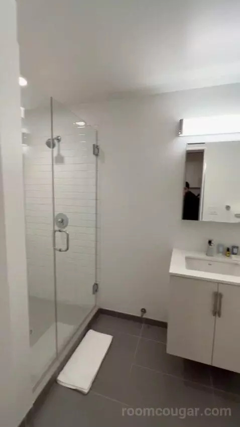 King 1 Bedroom Apartment (#705) bathroom picture #5
