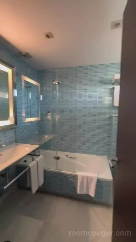 One-Bedroom Apartment (#401) bathroom picture #4