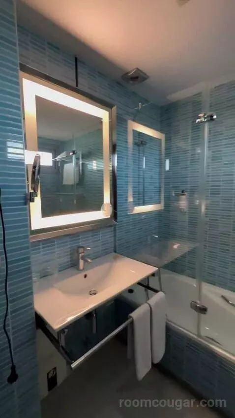One-Bedroom Apartment (#401) bathroom picture #8